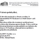 Termn konn shromdn vlastnk